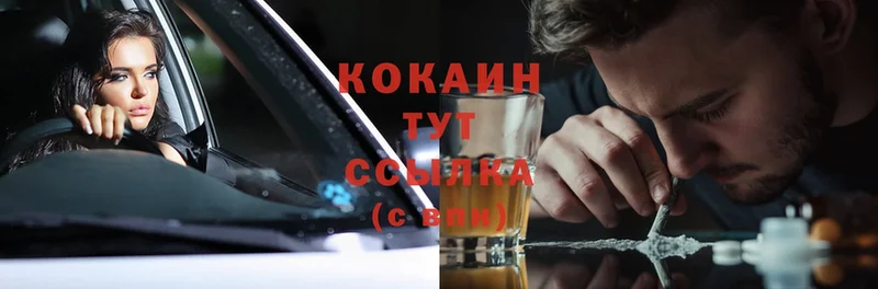 гидра вход  Ревда  Cocaine Fish Scale  цена  