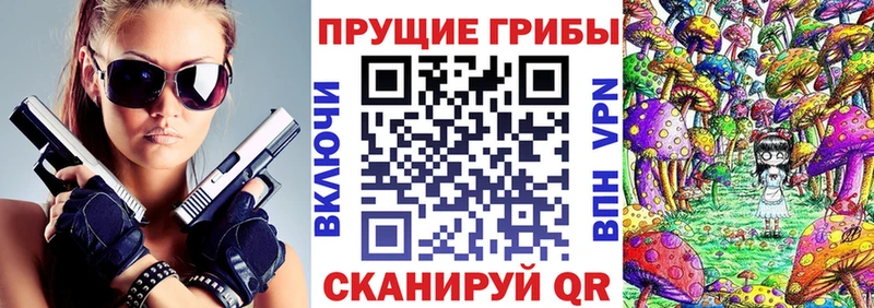 MEGA маркетплейс  купить  сайты  Ревда  Галлюциногенные грибы Cubensis 