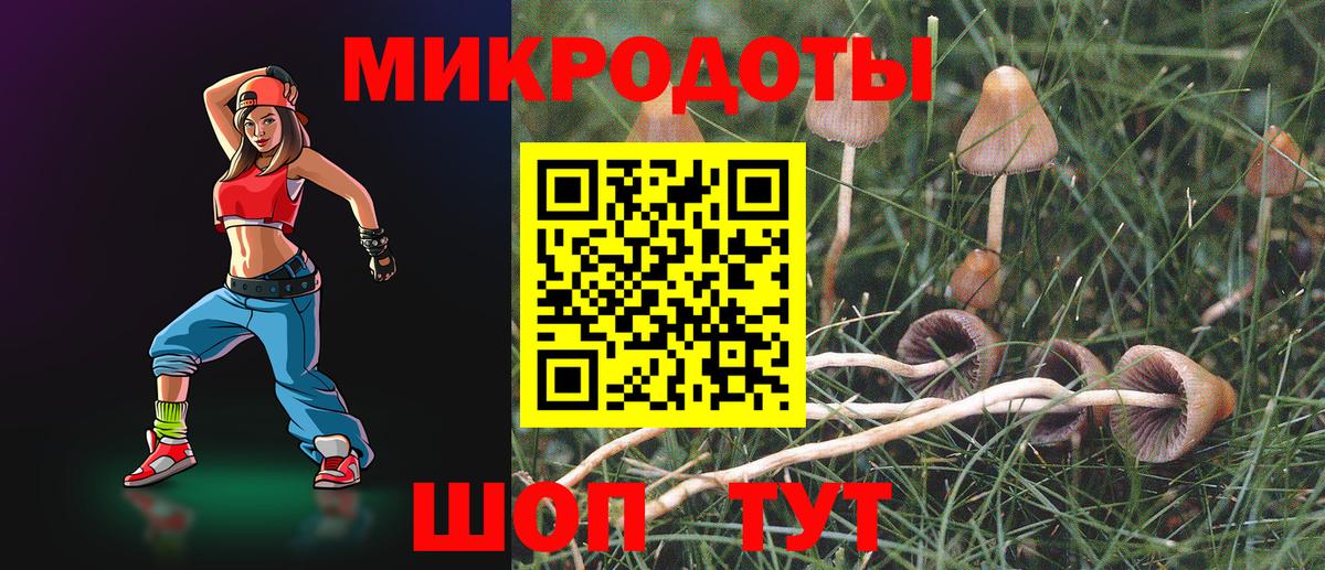 Псилоцибиновые грибы мухоморы  закладка  Ревда  Вход с VPN 